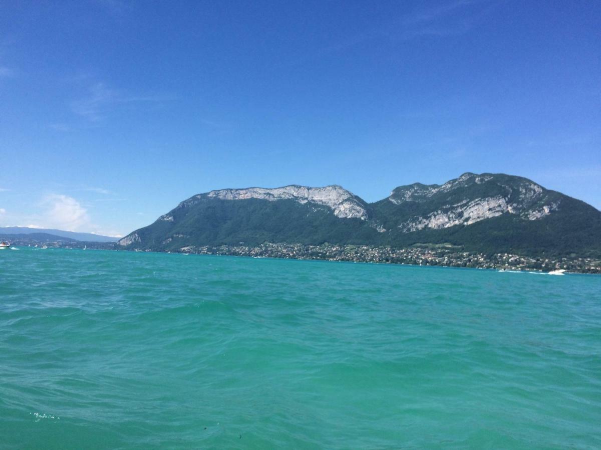 La Baie Des Voiles ,Vue Lac D'Annecy ,Plage Privee 뒤엥 외부 사진