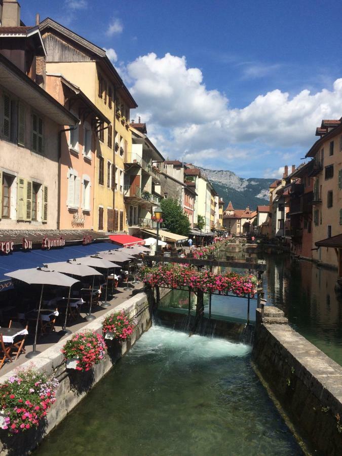 La Baie Des Voiles ,Vue Lac D'Annecy ,Plage Privee 뒤엥 외부 사진